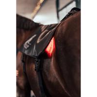 Equine LTS R-Serie Topline